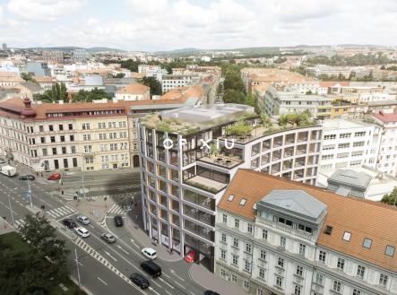 2 | Pronájem - kanceláře, 2 000 m²