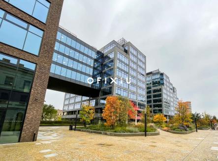 IMG_1492 | Pronájem - kanceláře, 32 m²