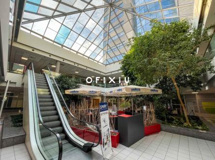pronajem-obchodni-prostory-0m2-brno-styrice-img-1480-17f568 | Pronájem - obchodní prostor, 1 000 m²
