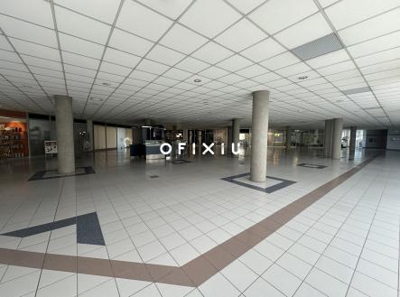 IMG_1324 | Pronájem - obchodní prostor, 1 000 m²