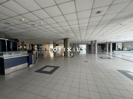 IMG_1325 | Pronájem - obchodní prostor, 1 000 m²