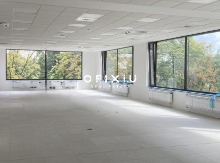 Snímek obrazovky 2025-09-18 v 10.01.01 | Pronájem - kanceláře, 481 m²