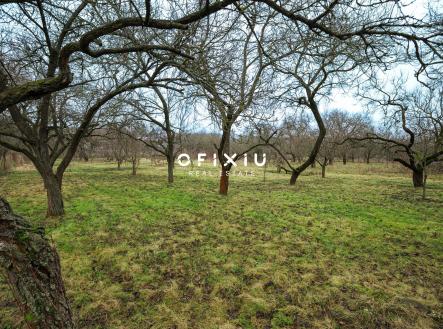 DSC05266 | Prodej - pozemek pro bydlení, 2 388 m²