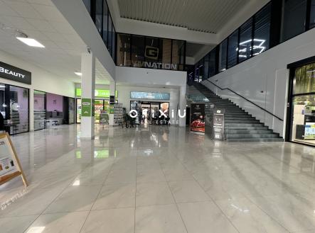 IMG_2638 | Pronájem - obchodní prostor, 185 m²