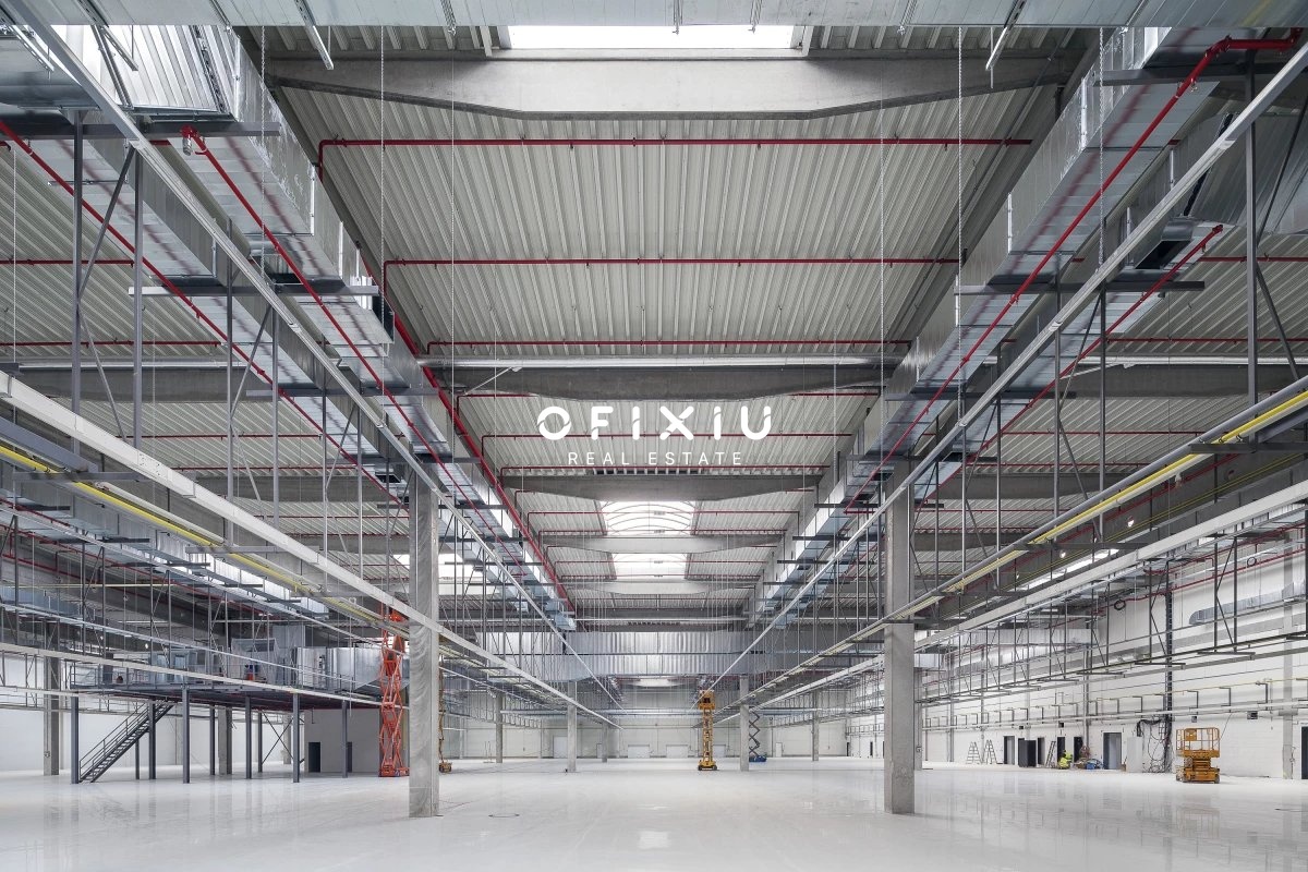 CTFit-6267.jpg-1200x800