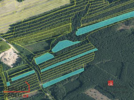 Prodej - pozemek, les, 22 136 m²