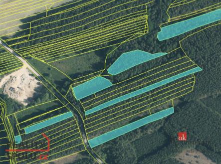 Prodej - pozemek, les, 22 136 m²