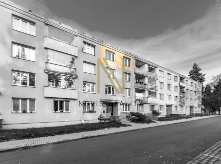 3a.jpg | Pronájem bytu, 1+1, 35 m²