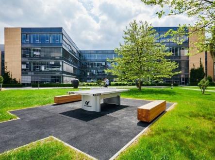 3 | Pronájem - kanceláře, 516 m²