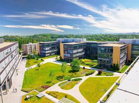 2 | Pronájem - kanceláře, 516 m²