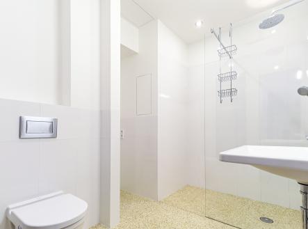 IMG_6464 | Pronájem bytu, 3+kk, 74 m²