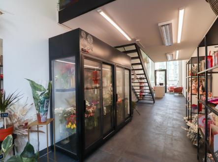 Pronájem - obchodní prostor, 54 m² obrázek