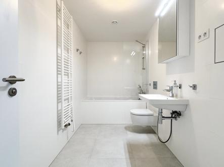 IMG_4923 | Pronájem bytu, 2+kk, 68 m²