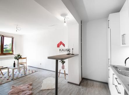 Pronájem bytu, 2+kk, 472 m² obrázek