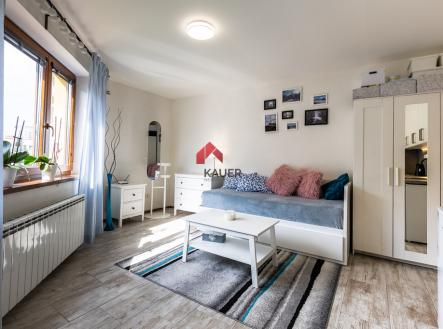 dsc-0738-hdr.jpg | Pronájem bytu, 1+kk, 25 m²