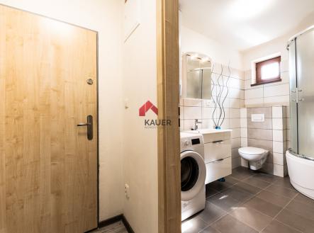 dsc-0748.jpg | Pronájem bytu, 1+kk, 25 m²
