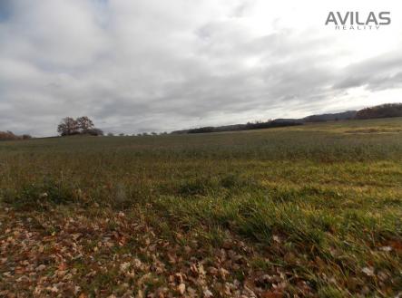 Foto | Prodej - pozemek, zemědělská půda, 25 393 m²