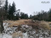 Prodej - pozemek, les, 11 862 m²