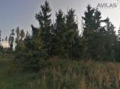 Prodej - pozemek, les, 5 835 m²
