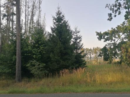 Foto | Prodej - pozemek, les, 5 835 m²