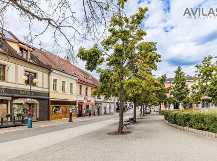 Fotka 42 | Prodej - komerční objekt, jiný, 256 m²