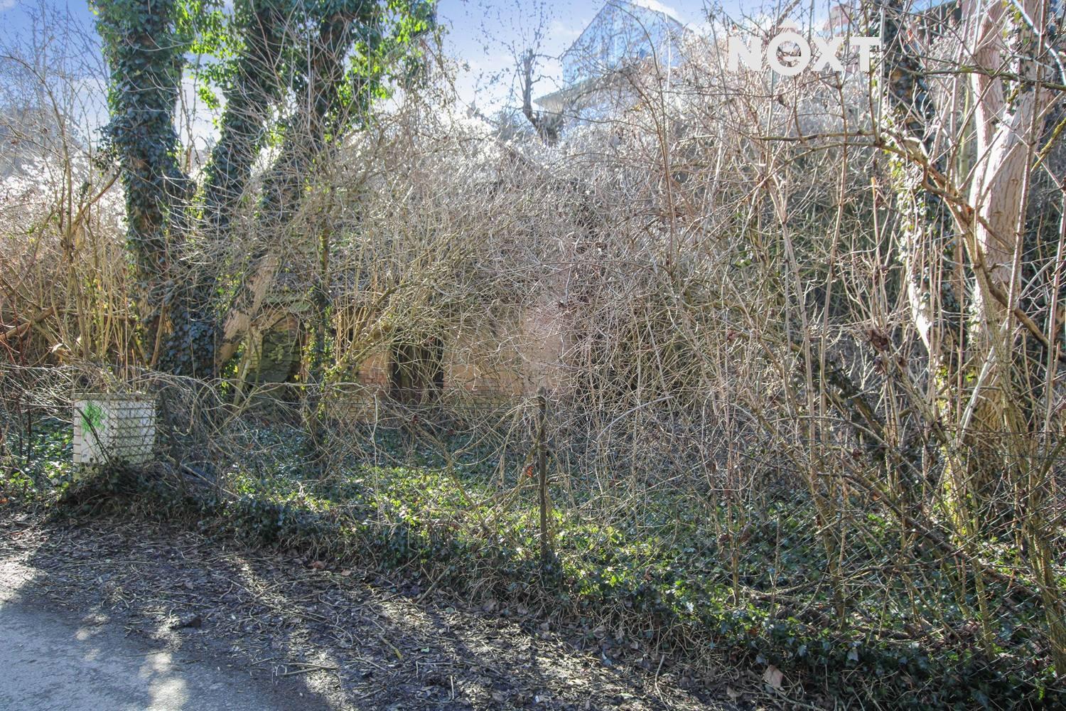 Pronájem pozemek Ostatní, 4244㎡