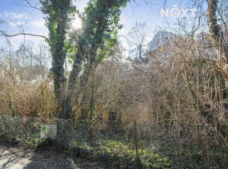 Pronájem - pozemek, ostatní, 4 244 m²