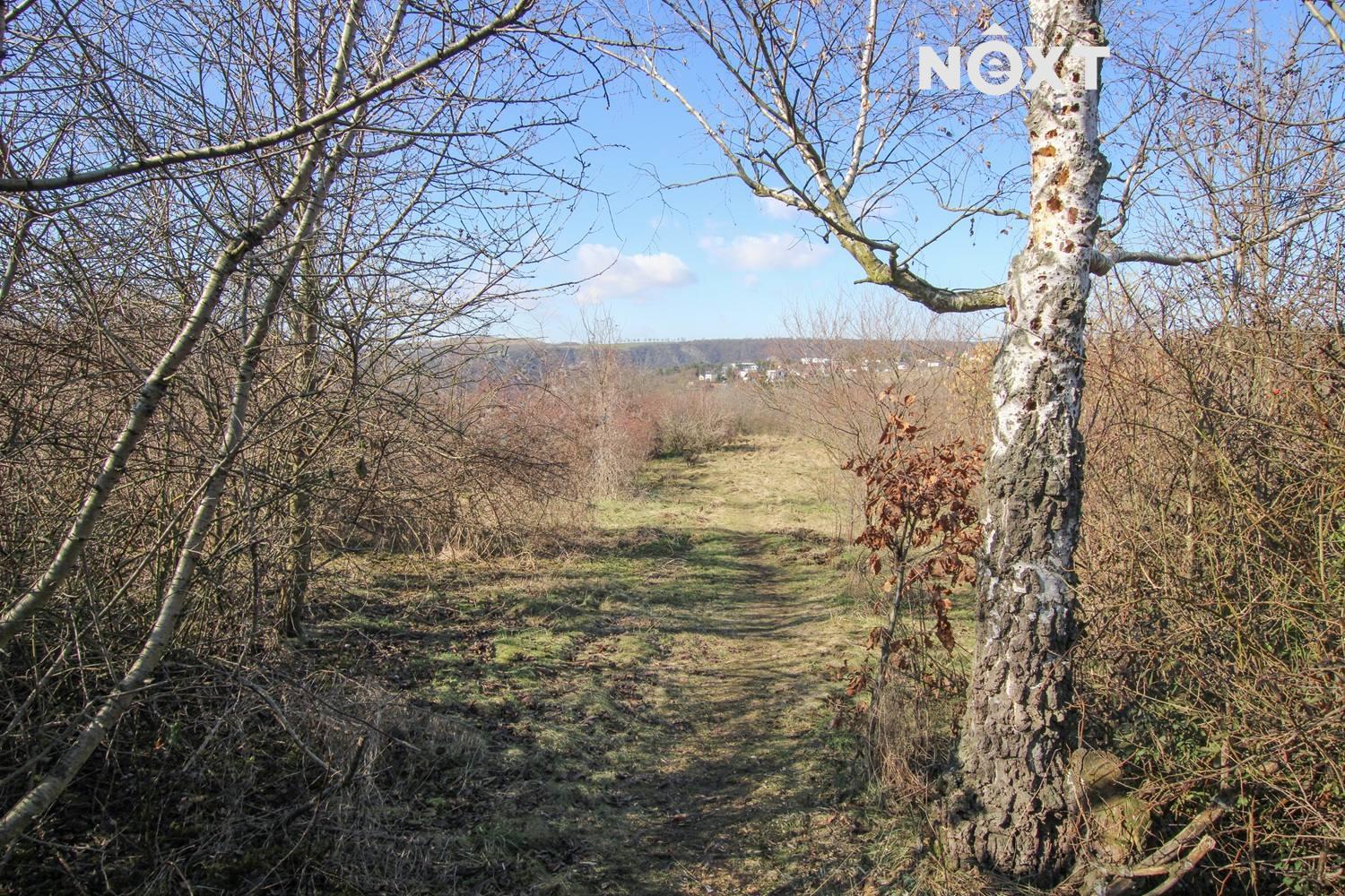 Pronájem pozemek Zahrada, 4956㎡