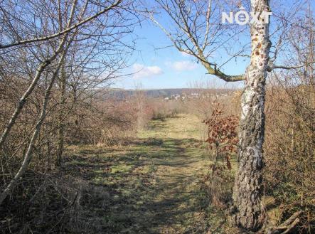 Pronájem - pozemek, zahrada, 4 956 m²