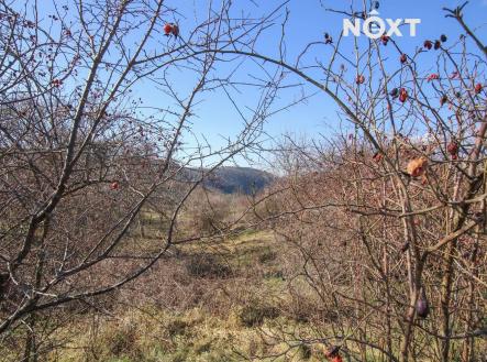 Pronájem - pozemek, zahrada, 4 956 m²