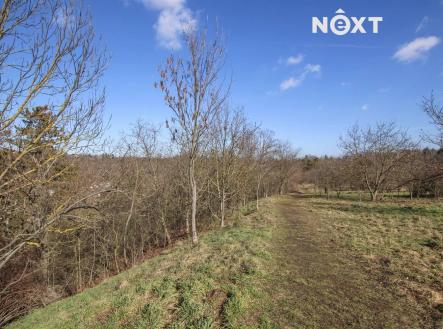 Pronájem - pozemek, zahrada, 4 956 m²