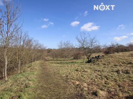 Pronájem - pozemek, zahrada, 4 956 m²