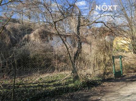 Pronájem - pozemek, zahrada, 4 244 m²