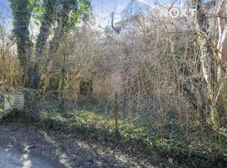 Pronájem - pozemek, zahrada, 4 244 m²