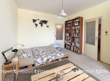 Pronájem bytu, 1+1, 47 m² obrázek