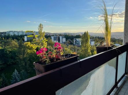 Prodej bytu, 3+1, 76 m² obrázek