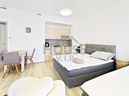 IMG_E4531 | Pronájem bytu, 1+kk, 43 m²