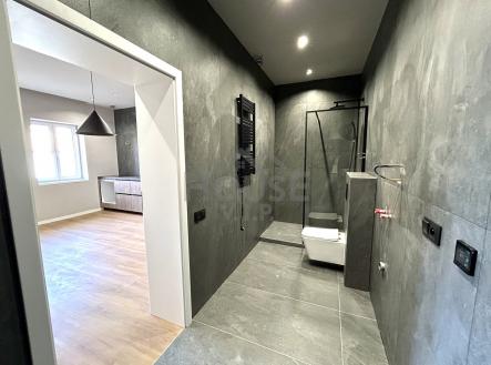 IMG_E3921 | Prodej bytu, 2+kk, 45 m²