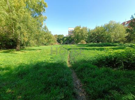 IMG_20250918_135224 | Prodej - pozemek pro bydlení, 2 882 m²