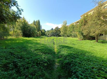 IMG_20250918_135013 | Prodej - pozemek pro bydlení, 2 882 m²