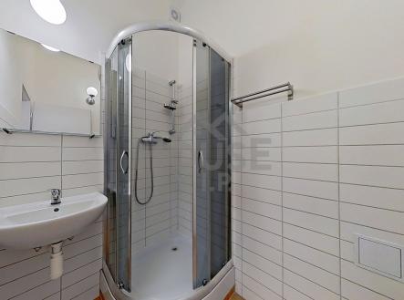 11052025_175022 | Prodej bytu, 1+1, 29 m²