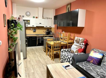 IMG_E3878 | Prodej bytu, 2+kk, 50 m²