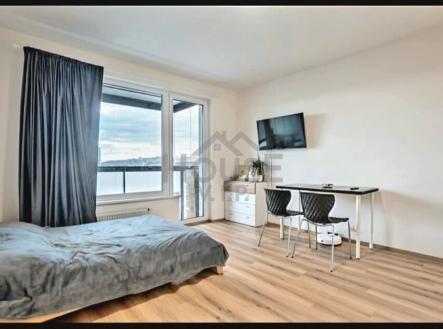 img-20251208-wa0033 | Pronájem bytu, 1+kk, 30 m²