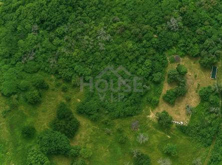 vysocany Image 10. 11. 2025 11_26_12 | Prodej - pozemek, zahrada, 8 993 m²