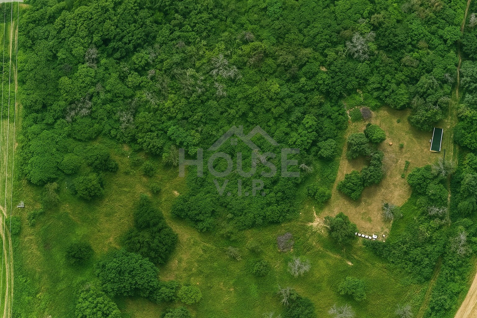 vysocany Image 10. 11. 2025 11_26_12