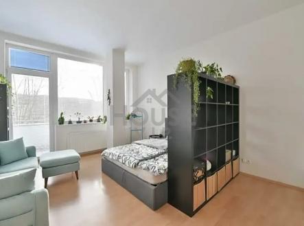 c24f61b0-3ccd-4775-96b7-c130c39c3cbe | Pronájem bytu, 1+kk, 33 m²