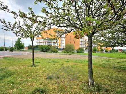 31 | Prodej bytu, 1+kk, 37 m²