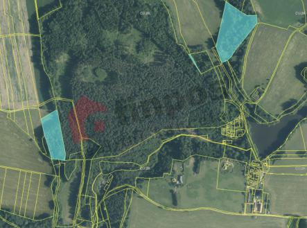 Prodej - pozemek, les, 21 625 m²