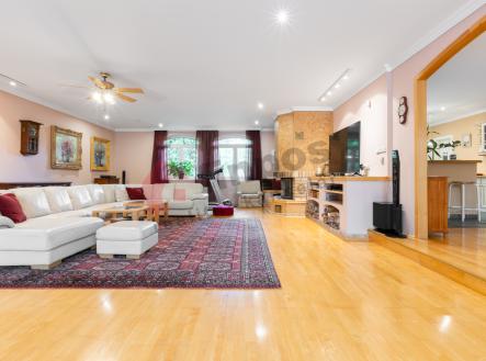 Prodej - dům/vila, 386 m²