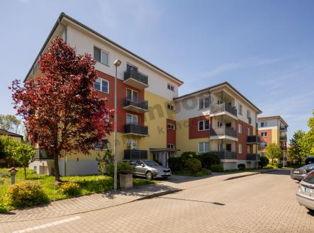 Prodej bytu, 1+kk, 44 m²